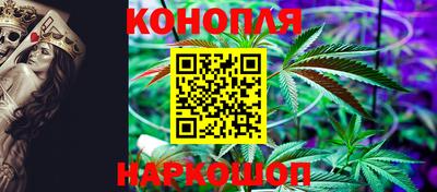 дмт Камышлов
