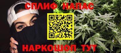 дмт Камышлов