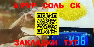 дмт Камышлов