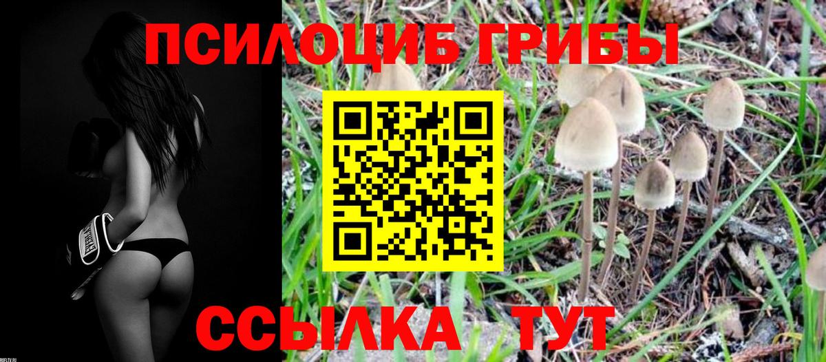 Псилоцибиновые грибы GOLDEN TEACHER Кунгур