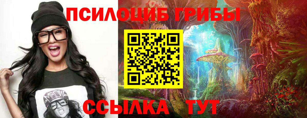 магазин продажи   Вход с VPN  Кунгур  Псилоцибиновые грибы мицелий 